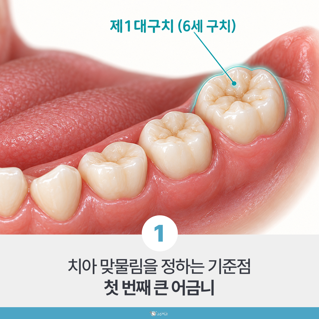 아이 교정 시기, 언제가 좋을까? 만 7세 첫 검진 이유 이미지 2